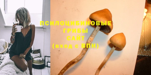 спайс Алзамай