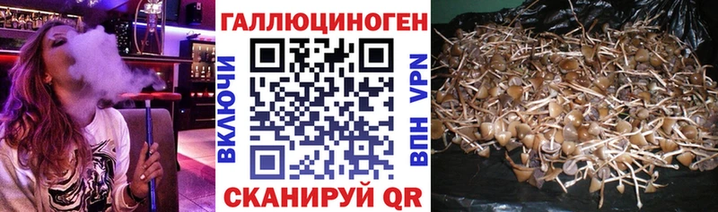 Псилоцибиновые грибы мухоморы  купить   Волоколамск 